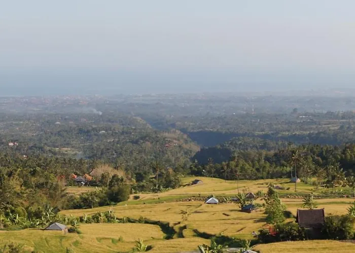 Lafyu Bali