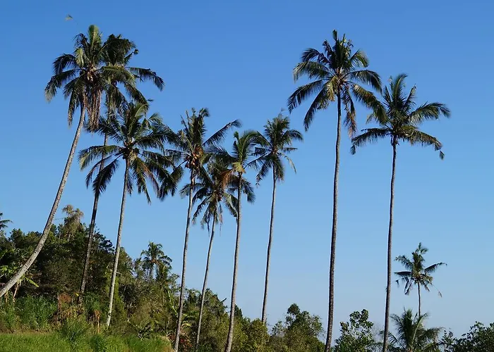 Holiday park Lafyu Bali