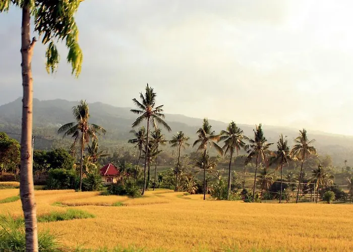 Holiday park Lafyu Bali