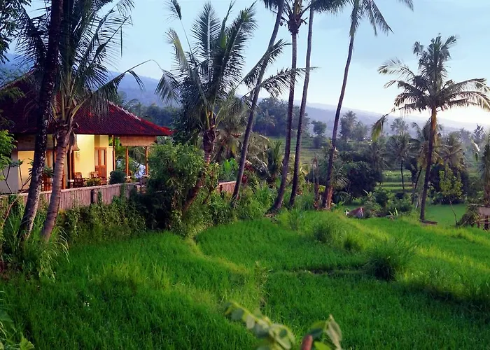 Lafyu Bali
