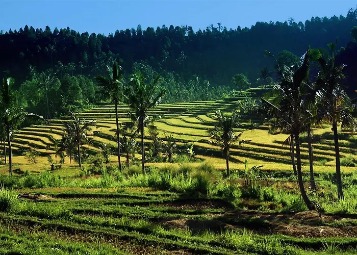 Holiday park Lafyu Bali 3*