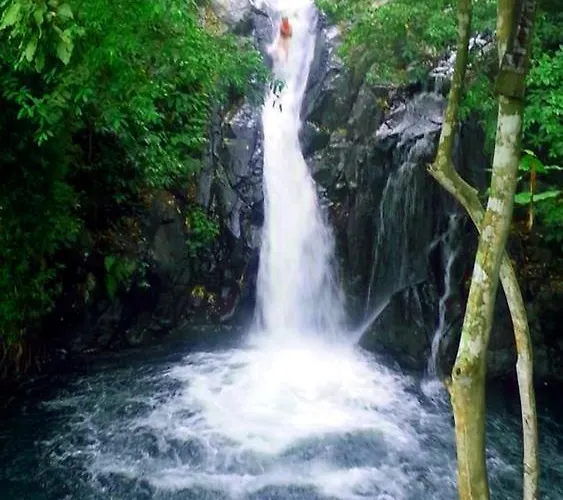 Lafyu Bali