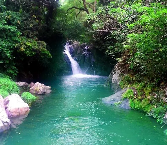 Lafyu Bali