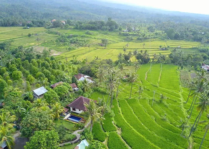 Lafyu Bali
