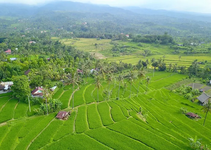 Lafyu Bali Singaraja (Bali)