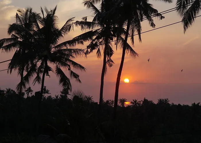 Lafyu Bali Singaraja (Bali)