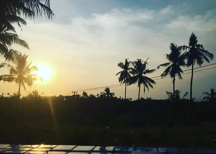 Lafyu Bali Singaraja (Bali)