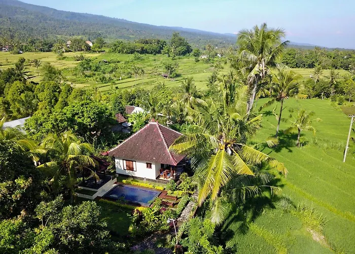 Lafyu Bali Singaraja (Bali)
